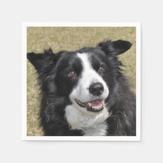 Border collie  napkins (Front)