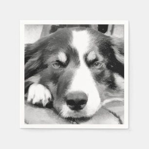 BORDER COLLIE NAPKINS