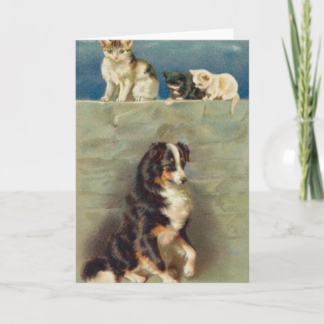 Border Collie Notecard (Front)