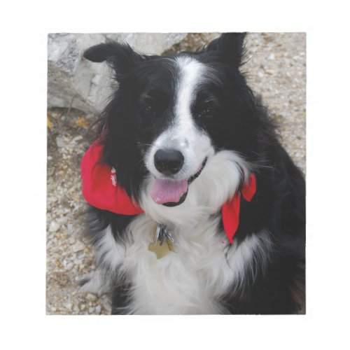 Border Collie Notepad