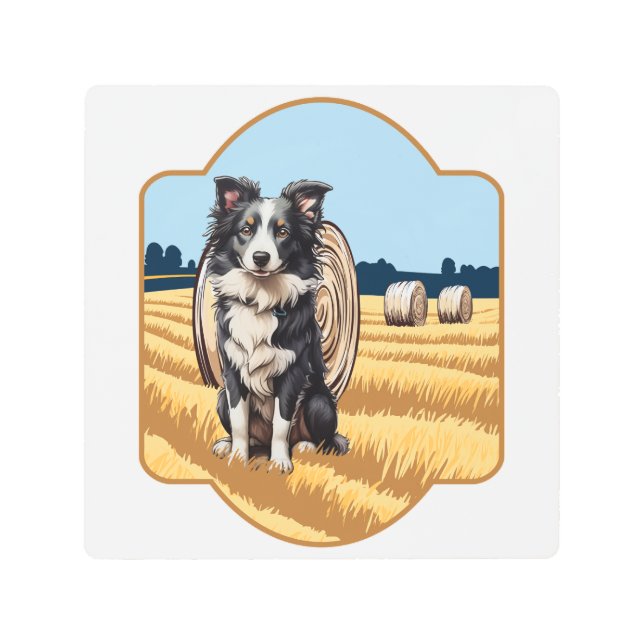 Border Collie on Farm Metal Print (Front)