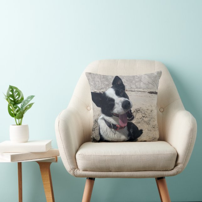 Border Collie on the Beach Throw Pillow (Chair)