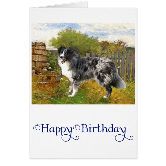 Border Collie on the Farm Cards (Front)