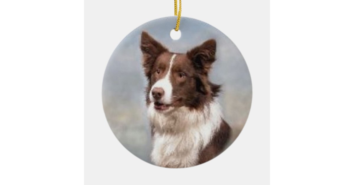 Border Collie Ornament