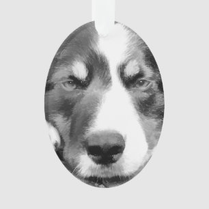BORDER COLLIE ORNAMENT