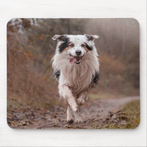 Border Collie out for a run Mouse Pad