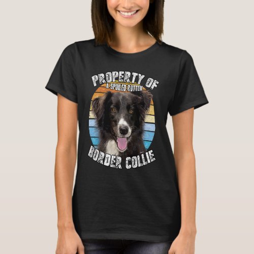 Border Collie Owner  Property Of T_Shirt