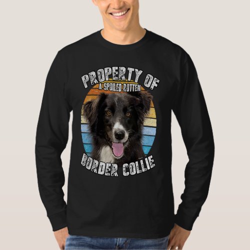 Border Collie Owner  Property Of T_Shirt
