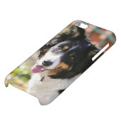Border Collie Panting 1 iPhone Case (Bottom)