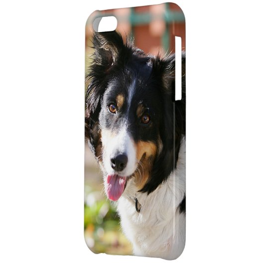 Border Collie Panting 1 iPhone Case (Back Left)