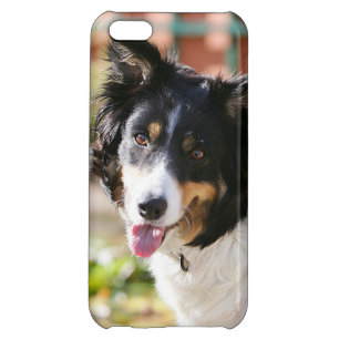 Border Collie Panting 1 iPhone 5C Cover