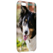 Border Collie Panting 1 iPhone Case (Back Right)