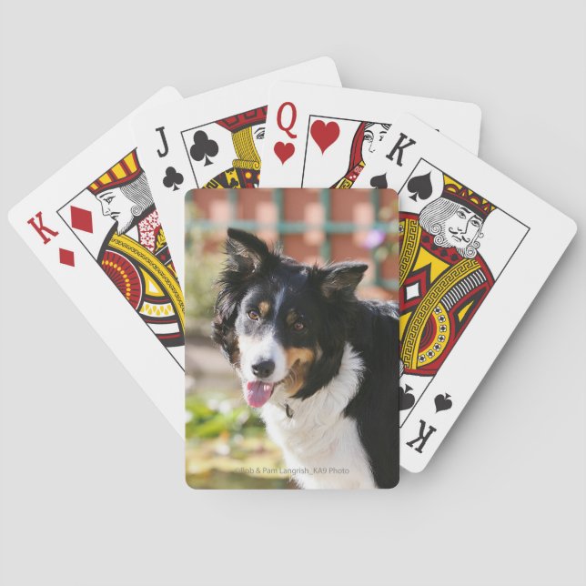 Border Collie Panting 1 Poker Cards (Back)