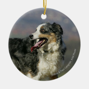 Border Collie Panting 2 Ceramic Ornament