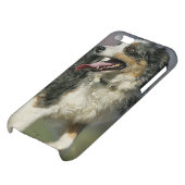 Border Collie Panting 2 iPhone Case (Bottom)