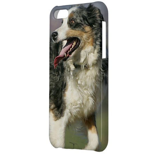 Border Collie Panting 2 iPhone Case (Back Left)