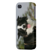 Border Collie Panting Headshot 1 iPhone Case (Back Left)