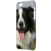 Border Collie Panting Headshot 1 iPhone Case (Back Left)