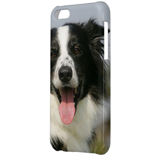 Border Collie Panting Headshot 1 iPhone Case (Back Left)