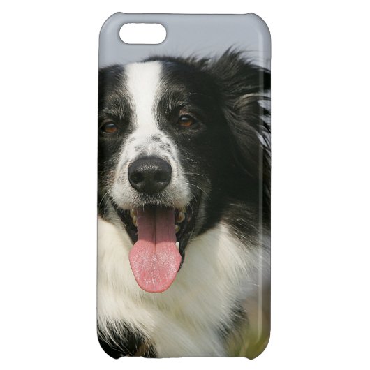Border Collie Panting Headshot 1 iPhone Case (Back)