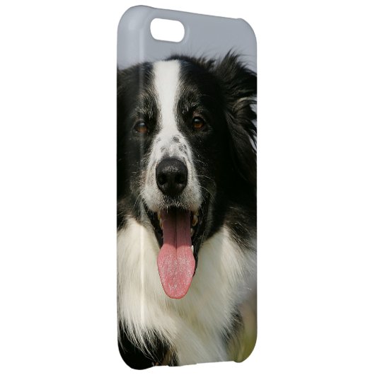 Border Collie Panting Headshot 1 iPhone Case (Back Right)