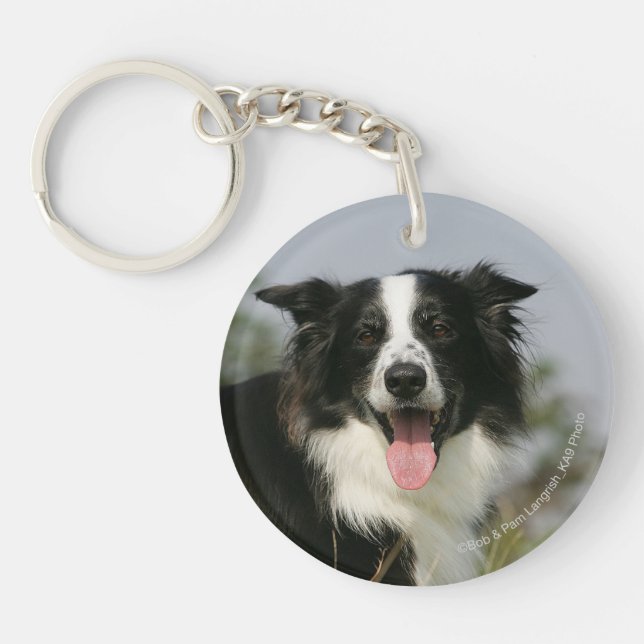 Border Collie Panting Headshot 1 Keychain (Front)
