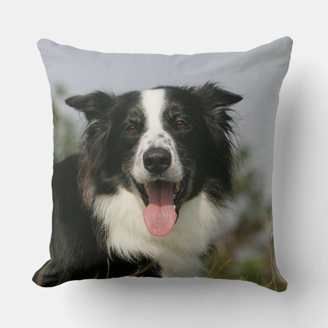 Border Collie Panting Headshot 1 Throw Pillow (Front)