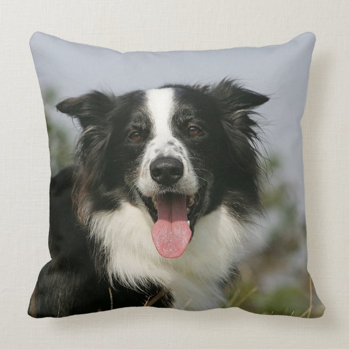 border collie throw pillow