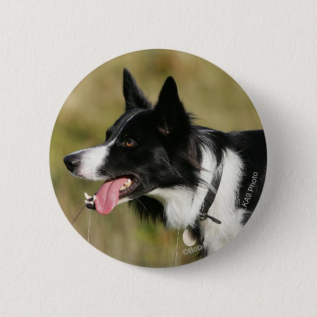 Border Collie Panting Headshot 2 Button (Front)