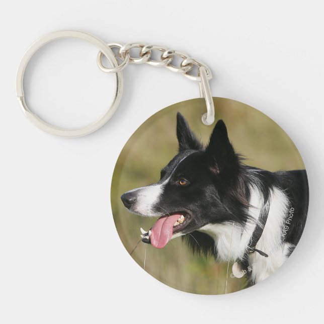 Border Collie Panting Headshot 2 Keychain (Front)