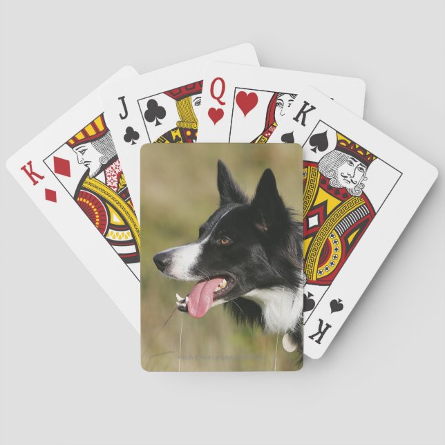 Border Collie Panting Headshot 2 Poker Cards (Back)