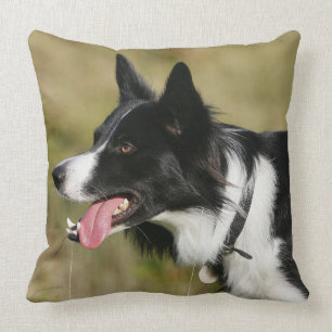 Border Collie Panting Headshot 2 Throw Pillow