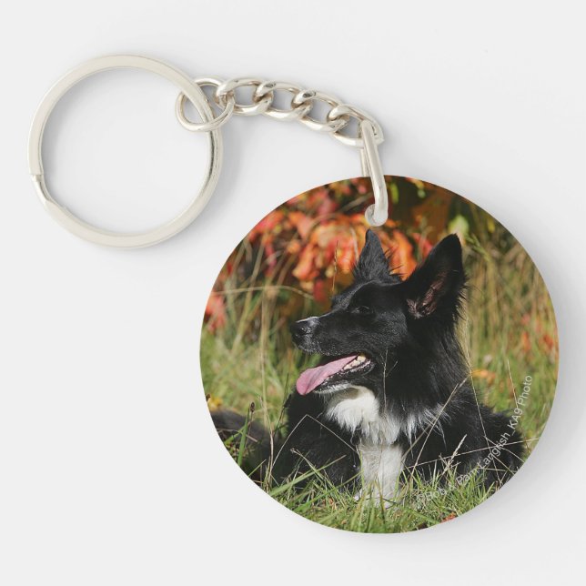 Border Collie Panting Laying Down Keychain (Front)