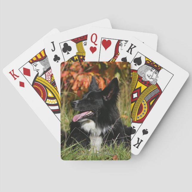 Border Collie Panting Laying Down Poker Cards (Back)