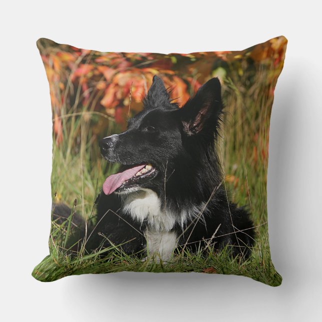 Border Collie Panting Laying Down Throw Pillow (Front)