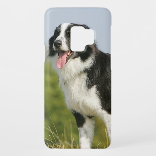 Border Collie Panting Standing Case_Mate Samsung Galaxy S9 Case