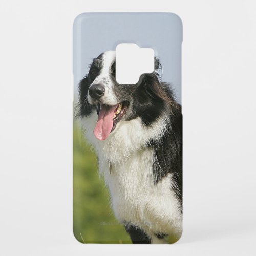 Border Collie Panting Standing Case_Mate Samsung Galaxy S9 Case