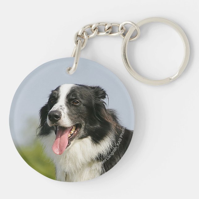 Border Collie Panting Standing Keychain (Back)