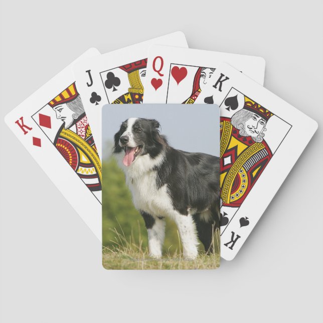Border Collie Panting Standing Poker Cards (Back)