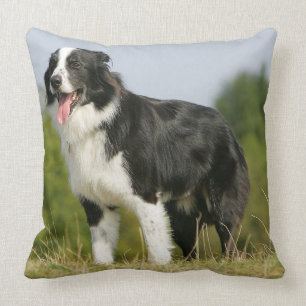 Border Collie Panting Standing Throw Pillow
