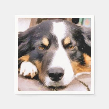 Border Collie Paper Napkins by flutterbuycards at Zazzle