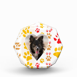 Border Collie Paw Print Love Heart Acrylic Award
