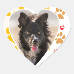 Border Collie Paw Print Love Heart Heart Sticker