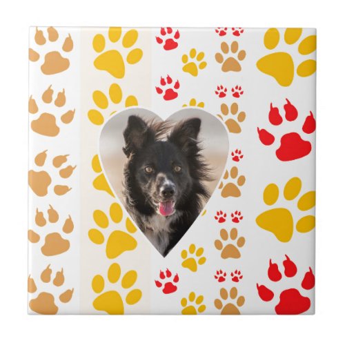 Border Collie Paw Print Love Heart Tile