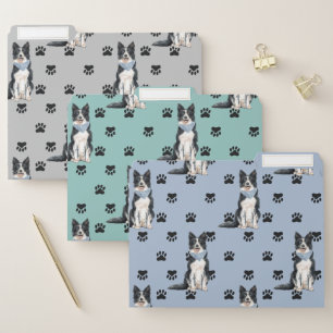 Border Collie Paw Prints Pattern File Folder