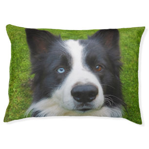 Border Collie Pet Bed
