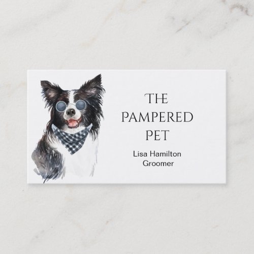 Border Collie Pet GroomerVetSitters Business Card