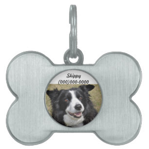 Border Collie Pet Name Tag