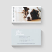 Border Collie Pet Photography Business Card at Zazzle