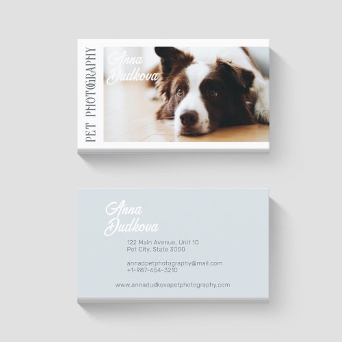 Border Collie Pet Photography Business Card